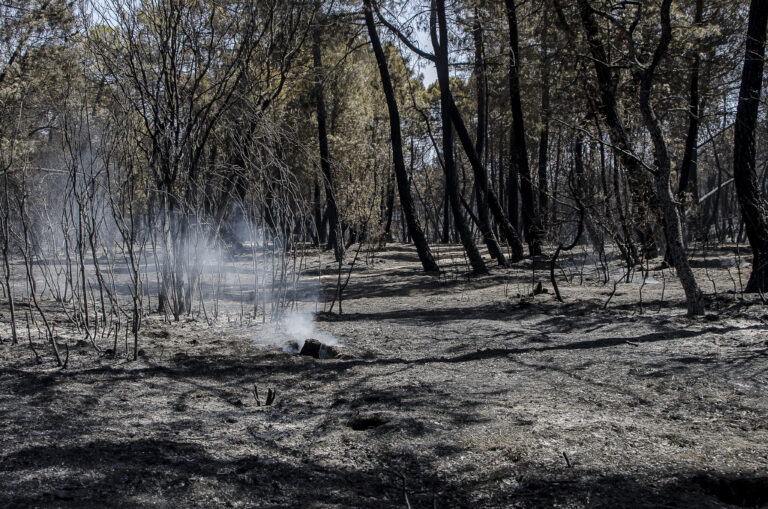 Reducido el dispositivo en el incendio de Barchín del Hoyo tras estabilizarse