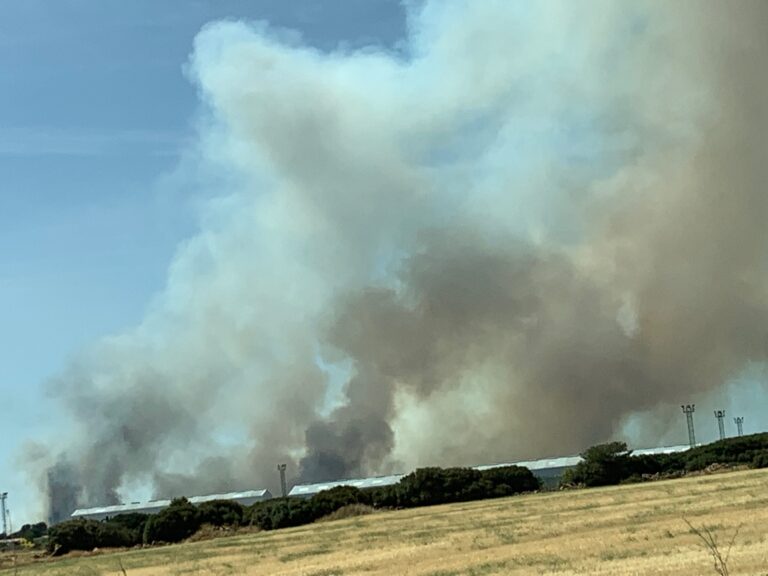 Extinguido el incendio declarado en Barchín del Hoyo la semana pasada