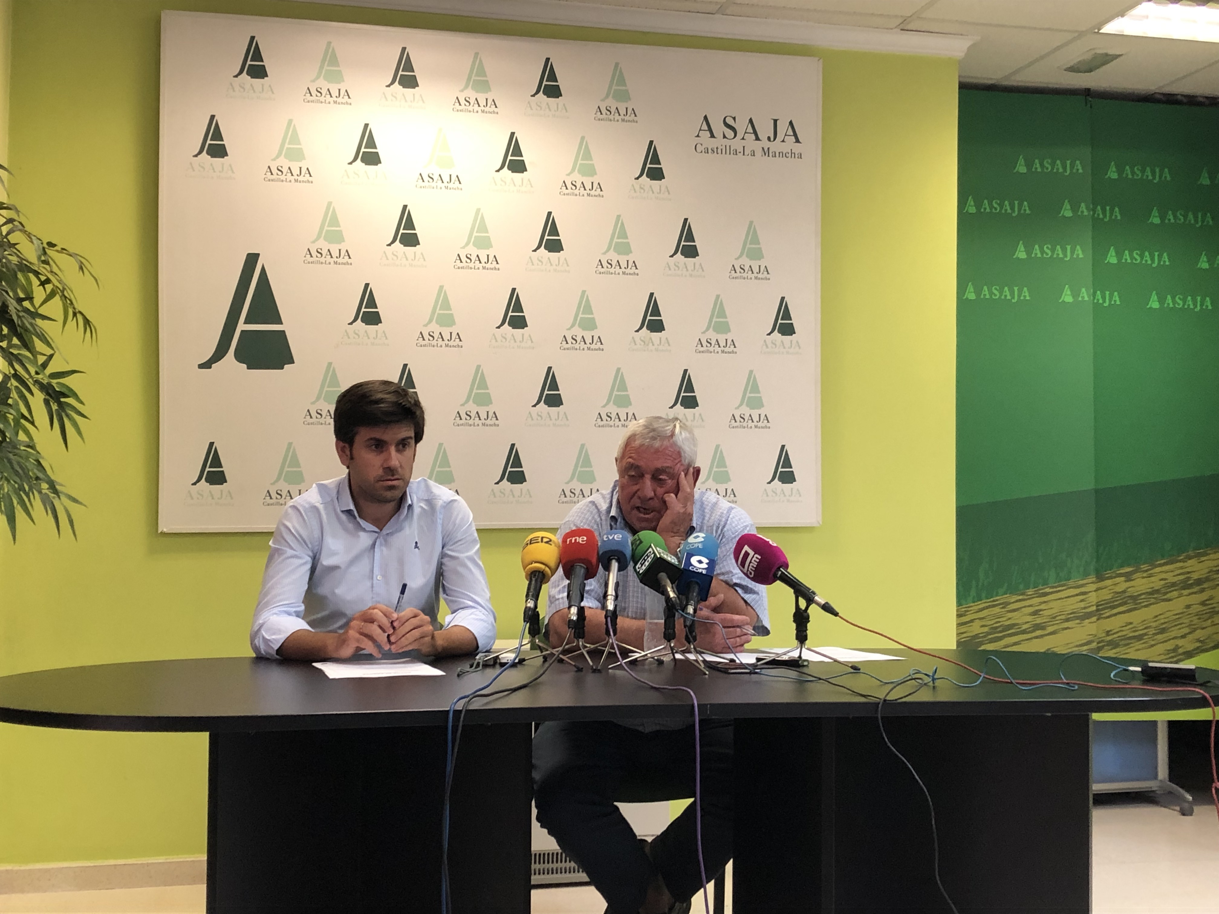Asaja vaticina una caída del 40% en la cosecha de uva, una calidad "excepcional" y dos grados alcohólicos más en Castilla-La Mancha