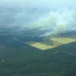 El ministro de Agricultura apoya a Castilla-La Mancha para reforestar las zonas afectadas por el fuego en Barchín del Hoyo