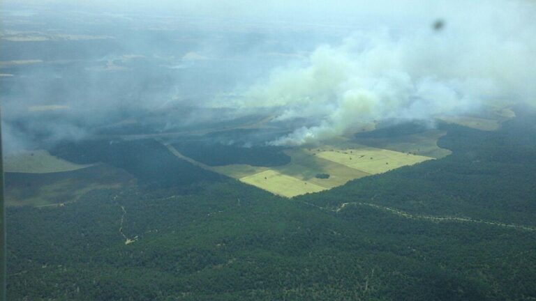 El ministro de Agricultura apoya a Castilla-La Mancha para reforestar las zonas afectadas por el fuego en Barchín del Hoyo