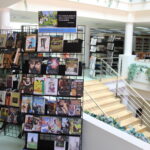 Aprender a «leer la pintura» desde la Biblioteca Municipal de Manzanares