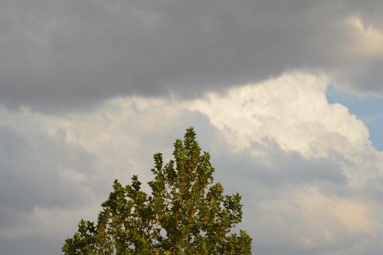 Albacete, Cuenca y Guadalajara, en alerta amarilla este martes