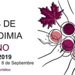 Programación de las Fiestas de la Vendimia y el Vino de Valdepeñas 2019