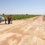 Argamasilla de Alba arregla provisionalmente el camino de Cirujano para la campaña de vendimia