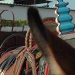 Los vinos DO La Mancha reivindican sus raíces en la Fiesta de la Vendimia