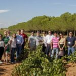 Importadores japoneses y latinoamericanos visitarán La Mancha en una misión inversa del Consejo Regulador