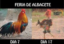 Los mejores ‘memes’ de la Feria de Albacete 2019