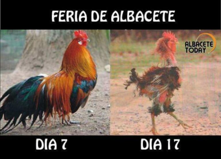 Los mejores ‘memes’ de la Feria de Albacete 2019