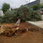 El 112 registra hasta 30 incidencias en dos horas, la mayoría en Valdepeñas, causadas por la lluvia