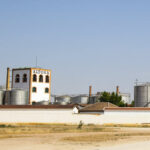 ALTOSA, productora de brandy en Tomelloso, se posiciona entre los mayores compradores de uva de España