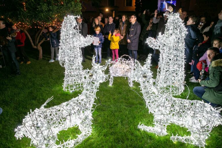 Los jardines del Taller del Moro, en el Palacio de Fuensalida, lucen por primera vez con iluminación navideña