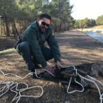 Rescatado un corzo que se estaba ahogando en el canal del trasvase Tajo-Segura a su paso por Cuenca