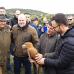 Echan a volar dos águilas imperiales tras su paso por «El Chaparrillo»