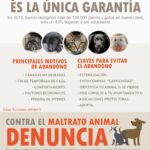 Socuéllamos invita a denunciar el maltrato animal a través de una campaña
