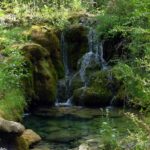 El Gobierno regional dotará al Nacimiento del Río Cuervo de un nuevo recurso que ofrecerá más servicios a sus visitantes