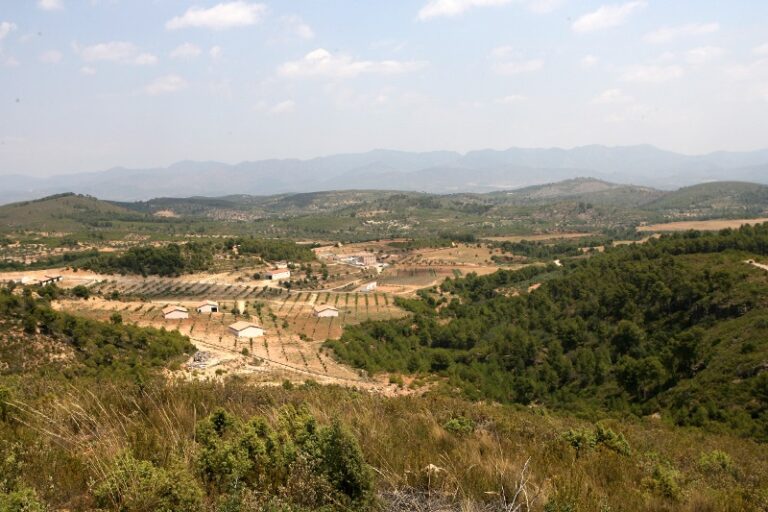Cinco años de la Ley contra la despoblación en Castilla-La Mancha: 4.732 habitantes más en los pequeños municipios