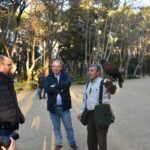 El Ayuntamiento de Albacete pone en marcha un plan para tratar de controlar la sobrepoblación de palomas