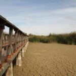 Los incendios de turbas podrían llegar en verano a Las Tablas si no se realizan aportes de agua