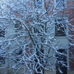 Cuenca activa el Pemuvi en fase de prealerta ante la predicción de posibles nevadas