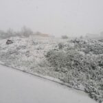 La nieve tiñe de blanco varias zonas de Castilla-La Mancha