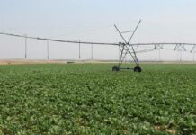 Lizán valora el esfuerzo de los regantes de Castilla-La Mancha para modernizar los regadíos