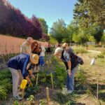 Abierta la convocatoria para solicitar parcelas de huertos urbanos sostenibles en Ciudad Real