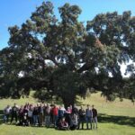 Un total de 54 personas de Ciudad Real podrán formarse gratis en el programa ‘Bosque de Oportunidades’