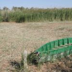 Arroyo apuesta por usar pozos de recarga en las Tablas de Daimiel y descartar trasvases