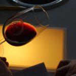 Puesta de largo para los vinos DO La Mancha en sus XXXIII Premios a la calidad