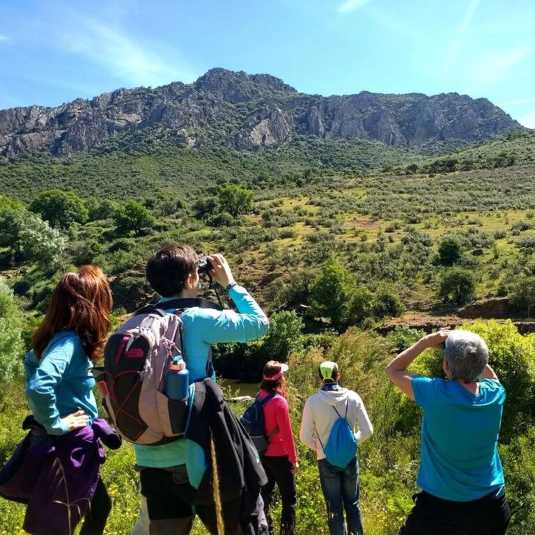 Empresas de ecoturismo de Castilla-La Mancha cifran pérdidas en un 70% y piden bajada de IVA y ayuda de ayuntamientos Empresas de ecoturismo de Castilla-La Mancha cifran pérdidas en un 70% y piden bajada de IVA y ayuda de ayuntamientos