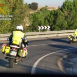 Herido un motorista de la Guardia Civil tras colisionar con un rebaño de ovejas en Membrilla