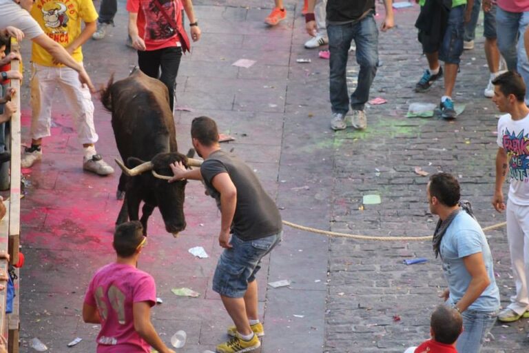 ¿Se suspenderán las fiestas de San Julián y San Mateo en Cuenca?