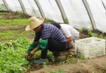 Casi 100.000 afiliados extranjeros en Castilla-La Mancha