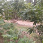 El PP pide explicaciones al Gobierno de Sánchez por excluir a Cuenca de las ayudas por daños por catástrofes naturales