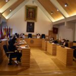 El pleno de Ciudad Real nombra ‘Ciudadanos Ejemplares’ a quienes han trabajado en primera línea contra la COVID-19