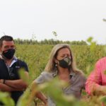 Merino pide a Page que «no abandone» a agricultores de Socuéllamos que presentan pérdidas de más del 30% tras la tormenta