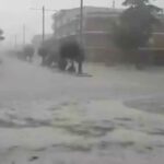 Una tormenta de agua y granizo deja calles inundadas en Socuéllamos