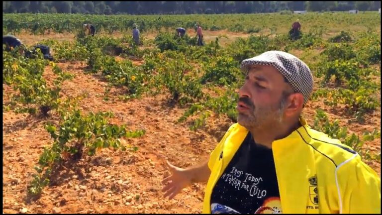 «Toca Vendimiar», el nuevo vídeo de Agustín Durán parodiando el «Waka Waka» de Shakira