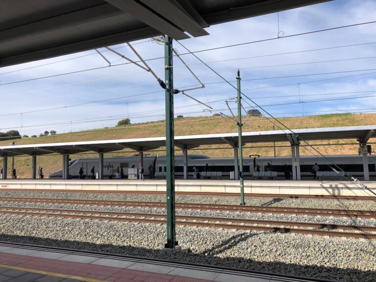 El Gobierno central restituirá todas las frecuencias AVE de Cuenca y Albacete «en el plazo más breve posible»