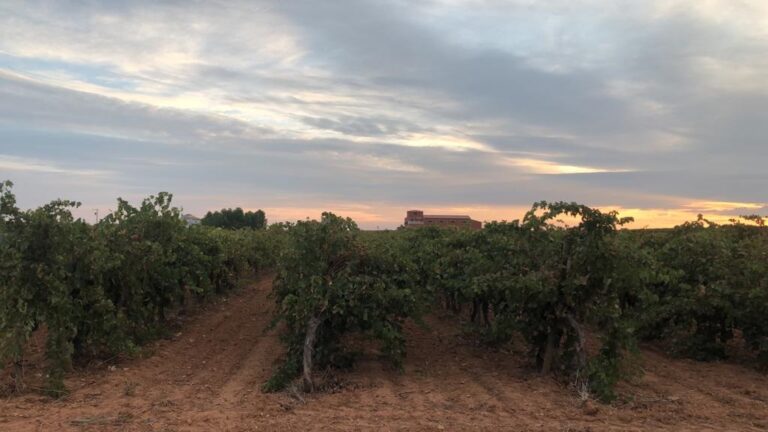 Agricultores alertan de que la nueva PAC «atenta contra el sistema productivo»