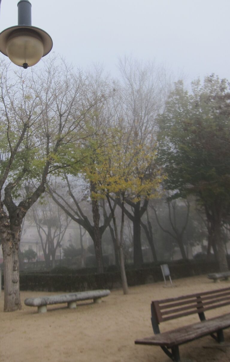 Toda Castilla-La Mancha, en riesgo este miércoles por niebla