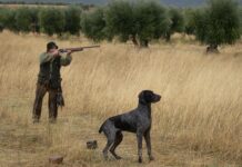 La Junta y el sector de la carne de caza de la región trabajan en iniciativas conjuntas de promoción