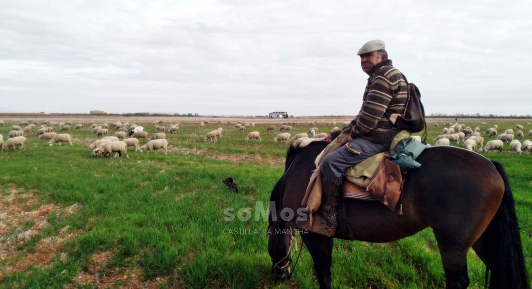 De Vega del Codorno a Mestanza pasando por Argamasilla de Alba 009