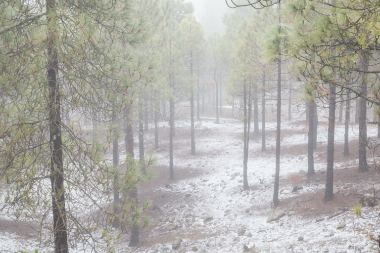 Albacete y Cuenca estarán en alerta amarilla por viento este miércoles