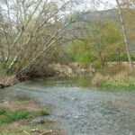 Asaja Ciudad Real lamenta que no se está aprovechando el agua por la «falta de las infraestructuras reclamadas»