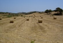 Asaja C-LM pide que la modificación del PDR impulse el sistema productivo