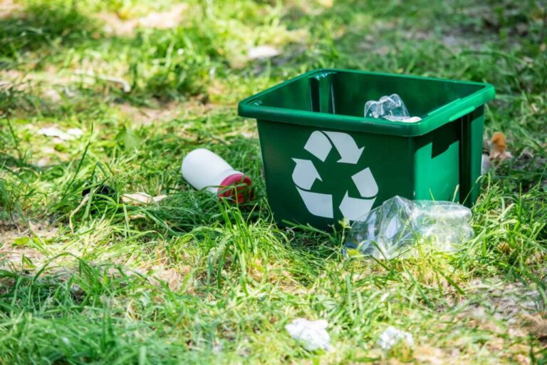 Almonacid del Marquesado inicia un nuevo proyecto para la construcción de una planta de envasado de productos ecológicos