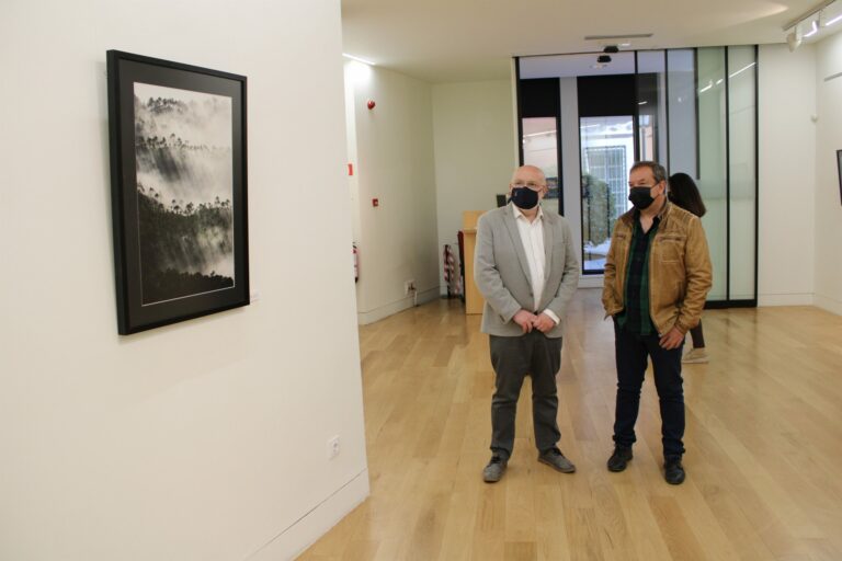 La sala de exposiciones de la Casa Perona de Albacete vuelve a abrir sus puertas con la muestra ‘Paisajes Soñados’ La sala de exposiciones de la Casa Perona de Albacete vuelve a abrir sus puertas con la muestra ‘Paisajes Soñados’