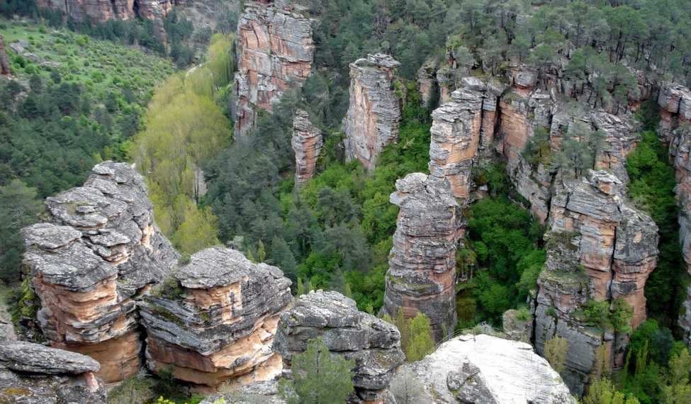 El Parque Natural del Alto Tajo cumple 25 años: ejemplo conservación y motor de territorio